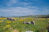 Selinunte. Distant view of Temple E in far distance. 